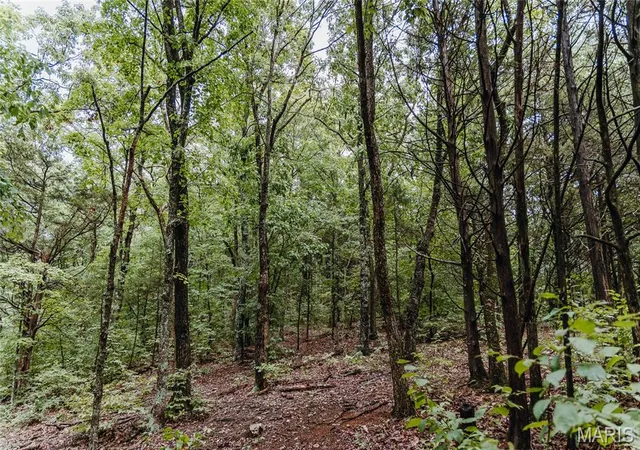 Photo 59 of Sale Pending at 1251 Kings Hwy, Hermann, MO 65041 | MLS# MIS26052256 | Listing updated on 2026-09-04