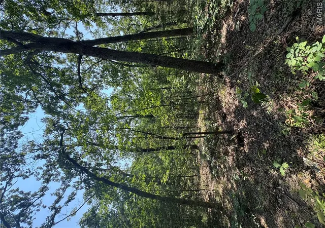 Photo 20 of Land for sale at 2467 +/  Ac Krull Rd, Hermann, MO 65041 | MLS# MIS26052289 | Listing updated on 2026-08-18