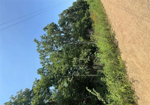 Photo 4 of Land for sale at 2467 +/- Ac Krull Rd, Hermann, MO 65041 | MLS# MIS26052289 | Listing updated on 2026-08-18