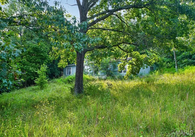 3rd image of 2960 Windy Hill Rd, Festus, MO 63028 | MLS# MIS26052306