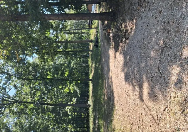 3rd image of 364 Black River One Dr, Piedmont, MO 63957 | MLS# MIS26052356