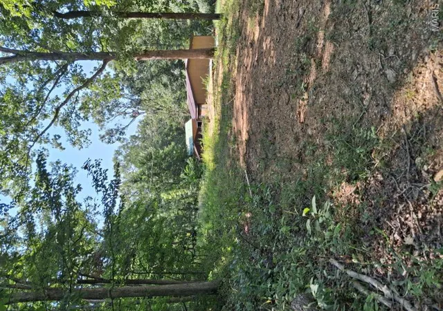 5th image of 364 Black River One Dr, Piedmont, MO 63957 | MLS# MIS26052356