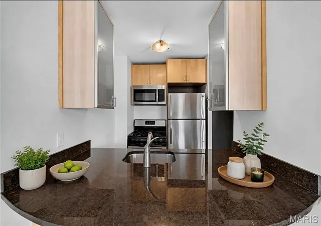 Listing Photo 4 - Condo for sale in building located at 210 N 17th St, St. Louis, MO 63103 - Unit #907