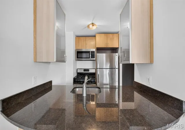 Listing Photo 5 - Condo for sale in building located at 210 N 17th St, St. Louis, MO 63103 - Unit #907
