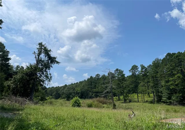 3rd image of 0 Cr 345, Piedmont, MO 63636 | MLS# MIS26052364