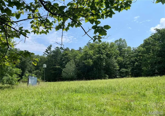 4th image of 0 Cr 345, Piedmont, MO 63636 | MLS# MIS26052364