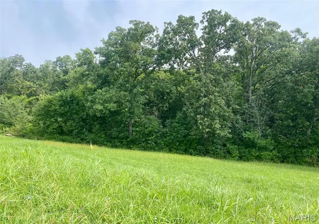 Photo 3 of Land for sale at 126 Rainbow Lake Dr, Villa Ridge, MO 63089 | MLS# MIS26052406 | Listing updated on 2026-08-16