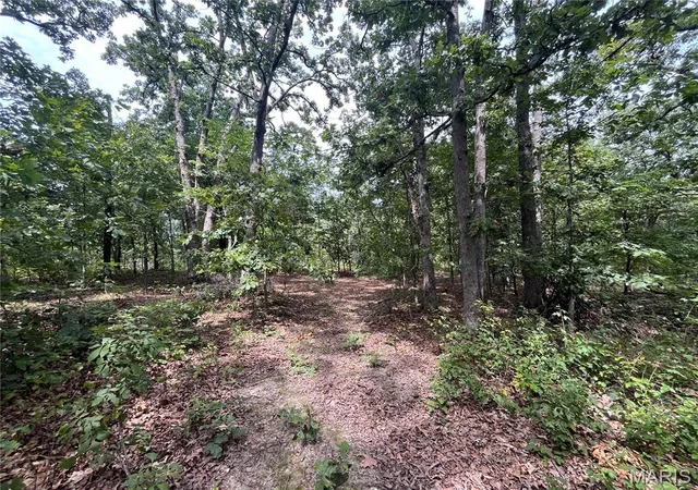 Photo 1 of Land for sale at Tbd Partridge, Climax Springs, MO 65324 | MLS# MIS26052438 | Listing updated on 2026-08-18