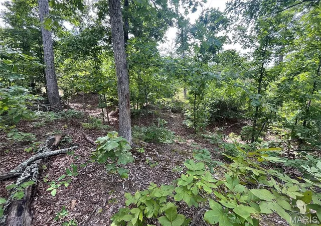 Photo 2 of Land for sale at Tbd Partridge, Climax Springs, MO 65324 | MLS# MIS26052438 | Listing updated on 2026-08-18