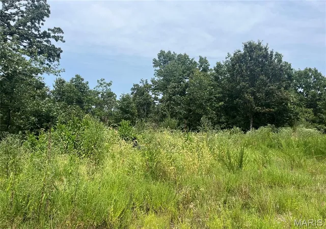 Photo 3 of Land for sale at Tbd Partridge, Climax Springs, MO 65324 | MLS# MIS26052438 | Listing updated on 2026-08-18