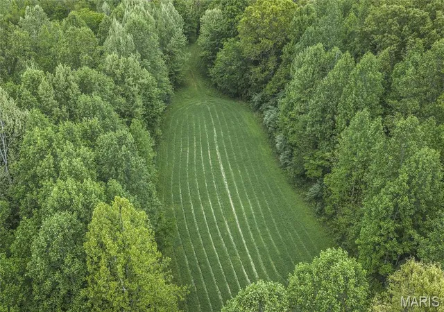 Photo 2 of Land for sale at 000 Yellow Springs Rd, Cave In Rock, IL 62919 | MLS# MIS26052459 | Listing updated on 2026-08-14
