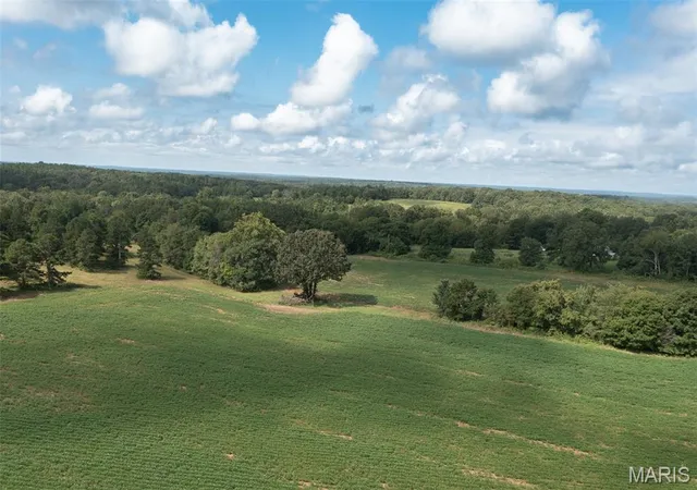 Photo 1 of Land for sale at Tract 1 Bcr 810, Glen Allen, MO 63645 | MLS# MIS26052468 | Listing updated on 2026-08-21