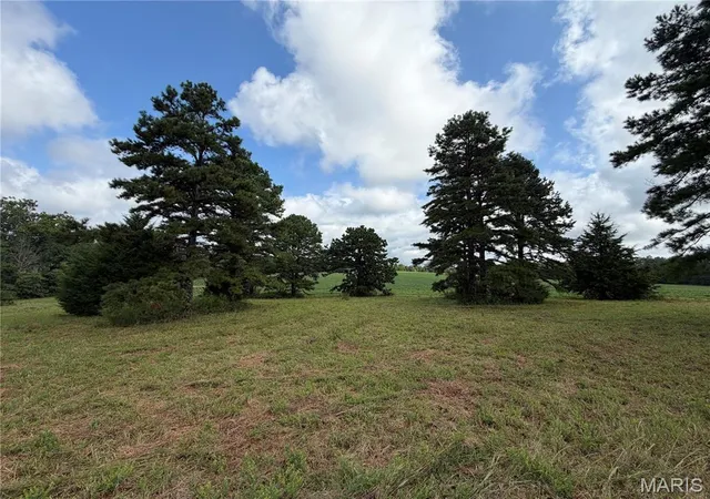 Photo 3 of Land for sale at Tract 1 Bcr 810, Glen Allen, MO 63645 | MLS# MIS26052468 | Listing updated on 2026-08-21