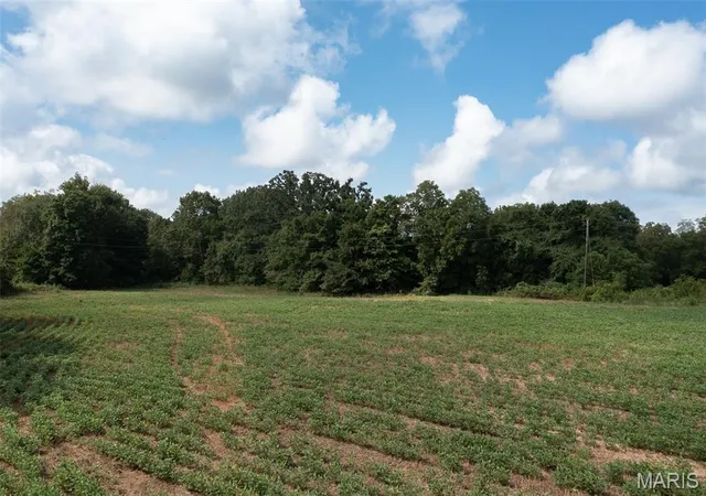 Photo 33 of Land for sale at Tract 1 Bcr 810, Glen Allen, MO 63645 | MLS# MIS26052468 | Listing updated on 2026-08-21