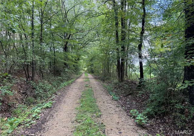 Photo 4 of Land for sale at Tract 1 Bcr 810, Glen Allen, MO 63645 | MLS# MIS26052468 | Listing updated on 2026-08-21