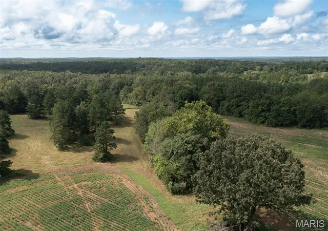 Photo 5 of Land for sale at Tract 1 Bcr 810, Glen Allen, MO 63645 | MLS# MIS26052468 | Listing updated on 2026-08-21