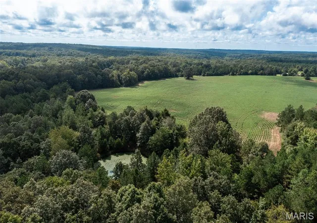 Photo 1 of Land for sale at Tract 2 Bcr 810, Glen Allen, MO 63751 | MLS# MIS26052473 | Listing updated on 2026-08-26
