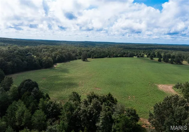 Photo 14 of Land for sale at Tract 2 Bcr 810, Glen Allen, MO 63751 | MLS# MIS26052473 | Listing updated on 2026-08-26