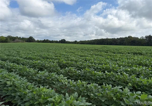 Photo 2 of Land for sale at Tract 2 Bcr 810, Glen Allen, MO 63751 | MLS# MIS26052473 | Listing updated on 2026-08-26