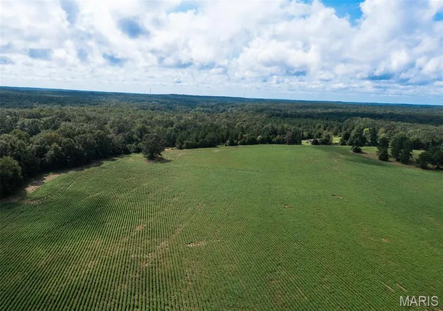 Photo 5 of Land for sale at Tract 2 Bcr 810, Glen Allen, MO 63751 | MLS# MIS26052473 | Listing updated on 2026-08-26