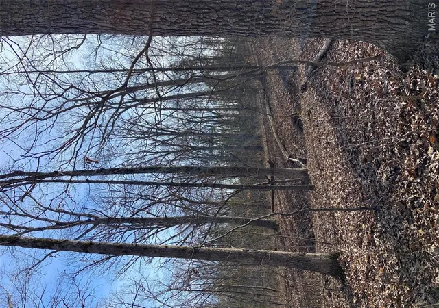 71st image of 1501 Donover Ln, Festus, MO 63028 | MLS# MIS26052503