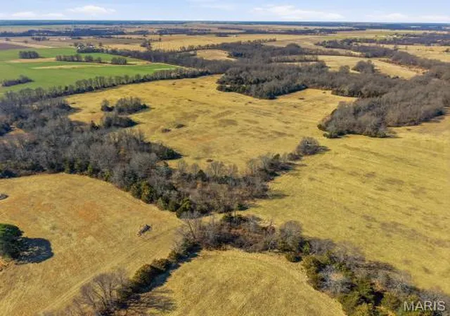 Photo 5 of Land for sale at 63 Acres Ar 935 & Hwy Ff, Mexico, MO 65265 | MLS# MIS26052536 | Listing updated on 2026-08-17