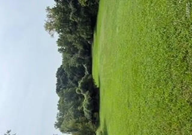 Photo 1 of Land for sale at 4984 Ambs Rd, Saint Louis, MO 63128 | MLS# MIS26052543 | Listing updated on 2026-08-15