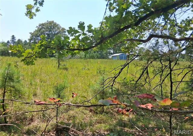 3rd image of 0 Cr 68, Bixby, MO 65439 | MLS# MIS26052675
