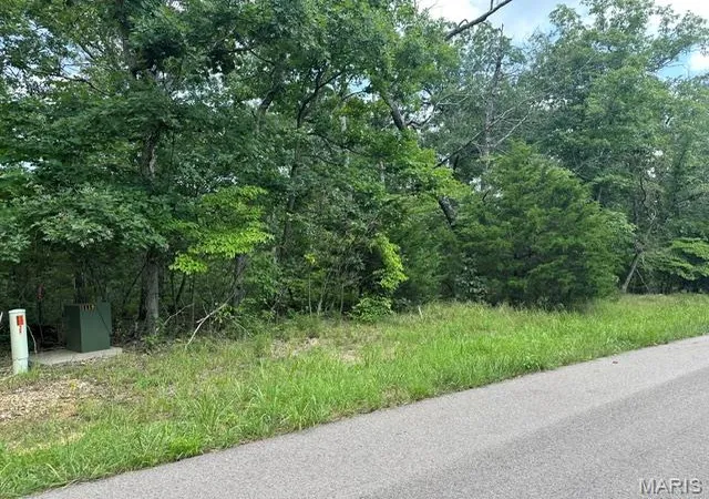 1st image of 483 Buzzard Rock Rd, Farmington, MO 63640 | MLS# MIS26052686
