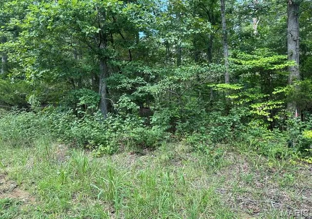 Photo 3 of Land for sale at 483 Buzzard Rock Rd, Farmington, MO 63640 | MLS# MIS26052686 | Listing updated on 2026-08-16