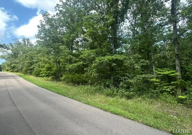 4th image of 483 Buzzard Rock Rd, Farmington, MO 63640 | MLS# MIS26052686