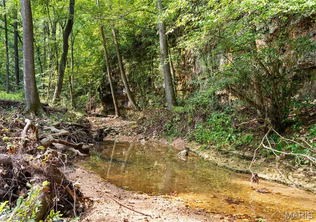 2nd image of 0 Long Spring Rd, Steelville, MO 65565 | MLS# MIS26052740