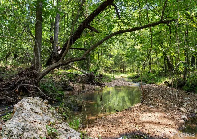 4th image of 0 Long Spring Rd, Steelville, MO 65565 | MLS# MIS26052740