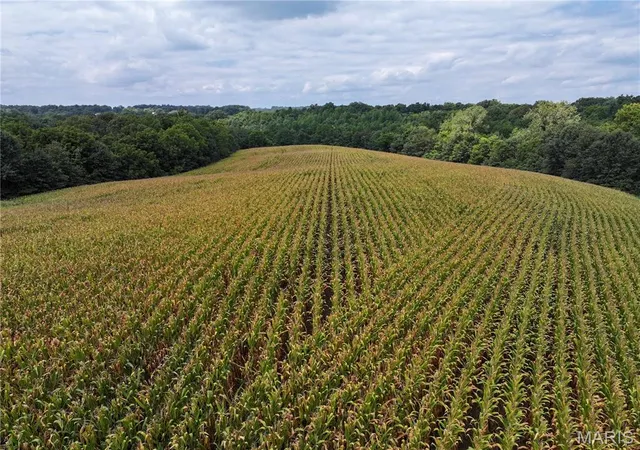4th image of 331 County Road 433, Jackson, MO 63755 | MLS# MIS26053080