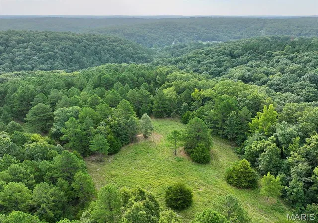 1st image of Tbd County Road 6670 T8, Salem, MO 65560 | MLS# MIS26053157