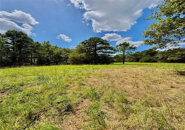 40th image of Tbd County Road 6670 T8, Salem, MO 65560 | MLS# MIS26053157