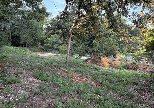 Photo 3 of Land for sale at 5445 Katrina Dr, House Springs, MO 63051 | MLS# MIS26053226 | Listing updated on 2026-08-18