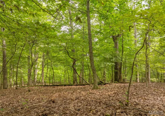 1st image of 2531 Alpine Trails Dr, Wright City, MO 63390 | MLS# MIS26053276