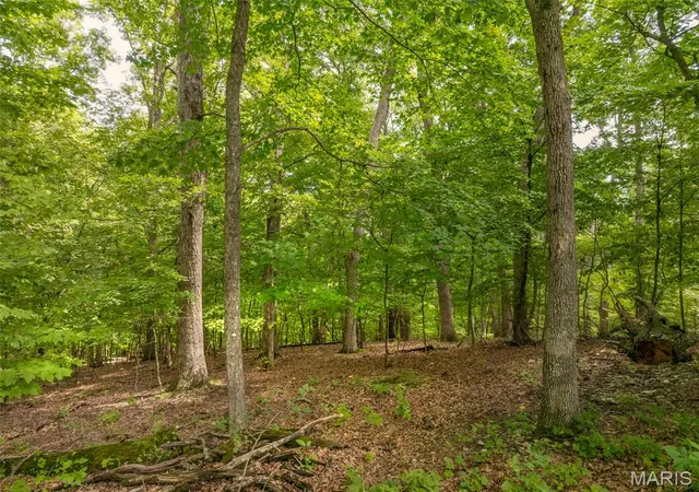 Photo 4 of Land for sale at 2531 Alpine Trails Dr, Wright City, MO 63390 | MLS# MIS26053276 | Listing updated on 2026-08-18