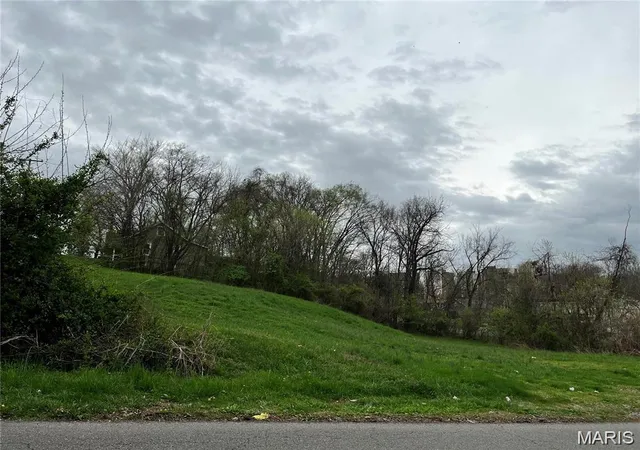 3rd image of 0 N Frederick St, Cape Girardeau, MO 63701 | MLS# MIS26053289