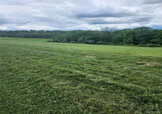 Photo 3 of Land for sale at 0 Ridge Vw, Jackson, MO 63755 | MLS# MIS26053366 | Listing updated on 2026-08-25