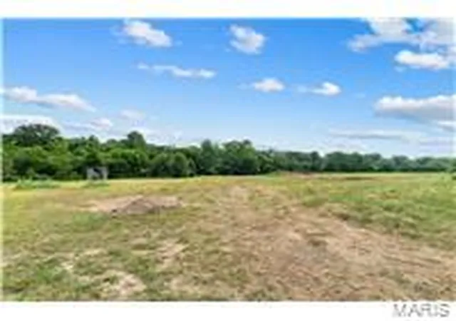 image of 00 Spring Bluff Rd, Sullivan, MO 63080 | MLS# MIS26053483
