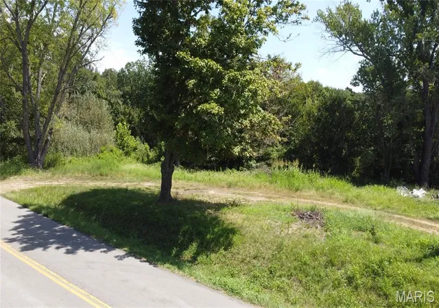4th image of 9454 H Hwy, Zalma, MO 63787 | MLS# MIS26053515