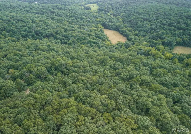 Photo 3 of Land for sale at 1212 Cedar Grove Rd, Bonne Terre, MO 63628 | MLS# MIS26053544 | Listing updated on 2026-09-30