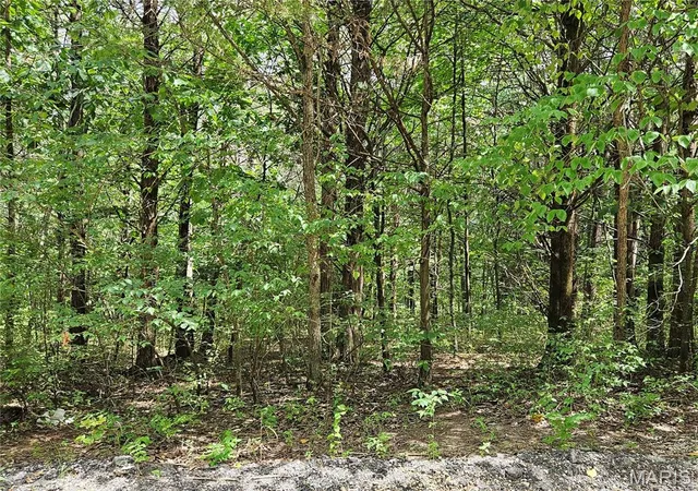1st image of 9480 Bent Tree Dr, Hillsboro, MO 63050 | MLS# MIS26053627