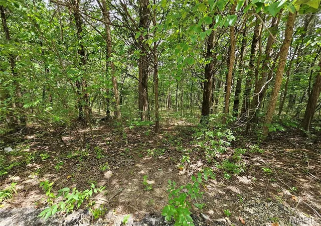 2nd image of 9480 Bent Tree Dr, Hillsboro, MO 63050 | MLS# MIS26053627