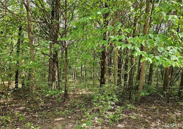 3rd image of 9480 Bent Tree Dr, Hillsboro, MO 63050 | MLS# MIS26053627