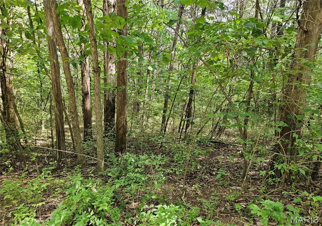4th image of 9480 Bent Tree Dr, Hillsboro, MO 63050 | MLS# MIS26053627