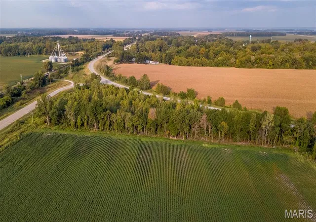 Photo 3 of Land for sale at 0 Off Old Hwy 60, Dudley, MO 63936 | MLS# MIS26053639 | Listing updated on 2026-09-29