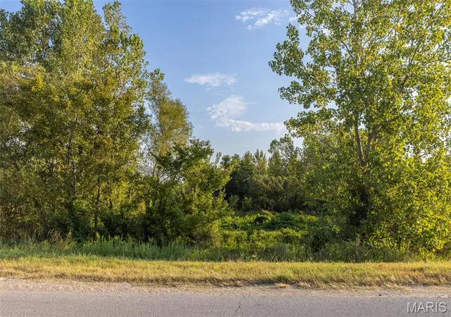 Photo 3 of Sale Pending at 0 Off Old Hwy 60, Dudley, MO 63936 | MLS# MIS26053639 | Listing updated on 2026-10-17
